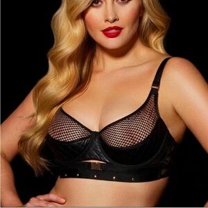 2/$125 NWT Honey Birdette Mesh Bra